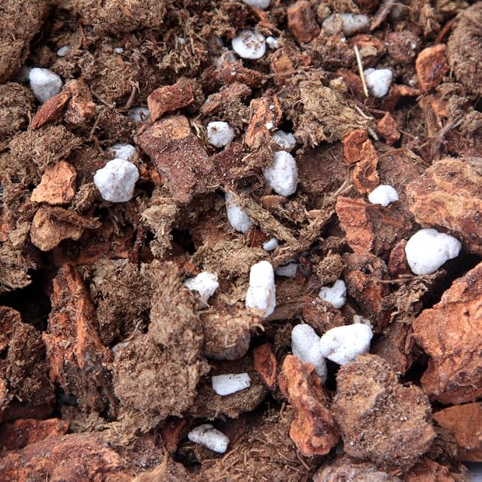 Cymbidium Potting Soil with Perlite, peat Moss, Coconut, and Orchid bark for Cymbidium Orchids All Natural Orchid bark Potting Mix for Potting Soil Indoor Plants