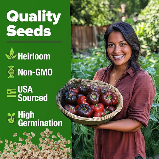HOME GROWN Non GMO Cherokee Purple Tomato Seeds 1 Pack (Solanum lycopersicum) - 106 Seeds, Tomato for Planting - Heirloom Vegetable Seeds with High Germination Rate