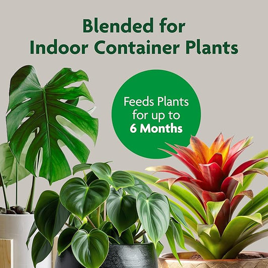 Miracle-Gro Indoor Potting Mix, Blended for a Variety of Houseplants, Feeds for up to 6 Months, 6 qt., 2-Pack