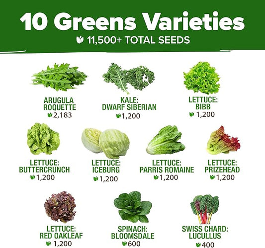 HOME GROWN 11,500+ Heirloom Lettuce Seeds - 10 Varieties Including Romaine, Buttercrunch, Iceberg, Kale & Spinach - Non-GMO USA Seeds for Planting Indoor, Outdoor & Hydroponic Gardens