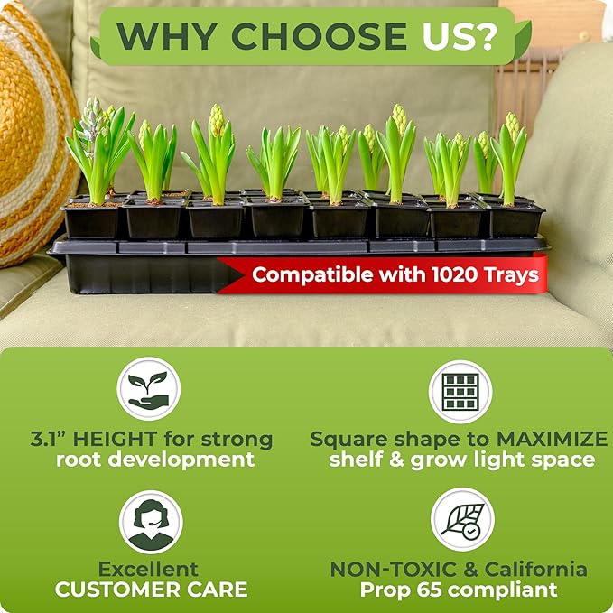 CARPATHEN 64Pack Square Nursery Pots - 2.4 Inch Plastic Seedling Pots with Drainage Holes - Reusable Seed Starter Pots for Plants, Succulent, Flowers, Vegetables - Plant Starter Pots and Sticker Label