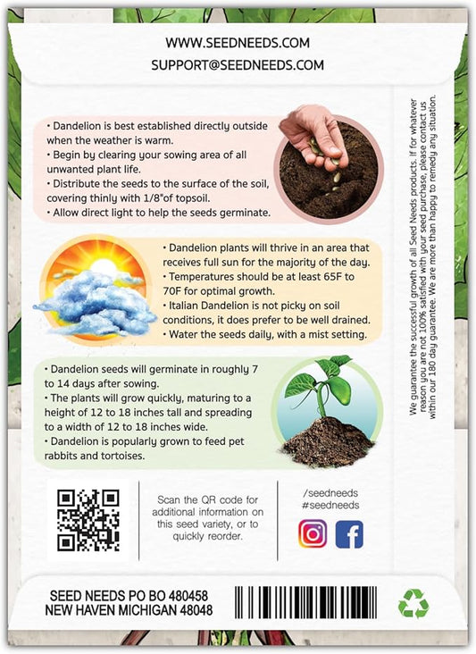 Seed Needs Garnet Stem Dandelion Seeds for Planting - Non-GMO, Heirloom & Untreated Edible Herbs - Grow Your own Food for Tortoises, Rabbits & Bearded Dragons (2 Packs)