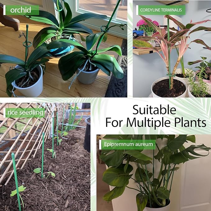 10PCs Plant Stakes for Indoor Plants,15 Inch Plant Support Stakes with Clips, Tall Adjustable Plant Sticks for Indoor Monstera Tomato Orchid Potted Plants Flower Comes with Spearhead End