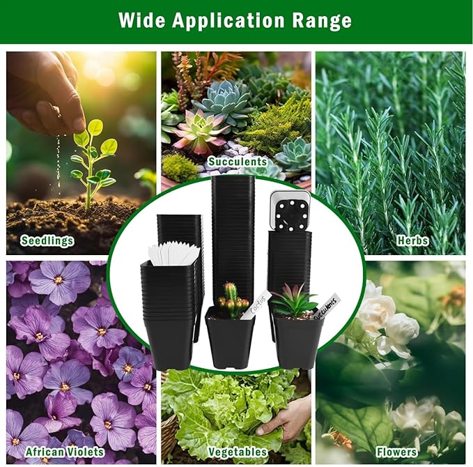 June Fox Small Seedling Pots 4 Inch, 100 Pcs Square Plant Pots Bulk, Plastic Nursery Pots with Drain Holes for Seedlings, Succulents, Cuttings (Black)