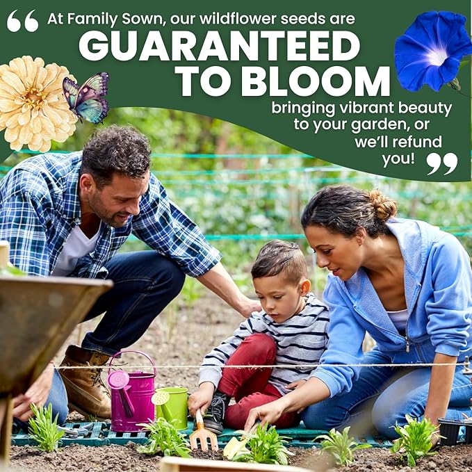 Morning Glory Heavenly Blue – 3,000 Seeds for Planting – 2026 Season – 4 Ounce Pouch