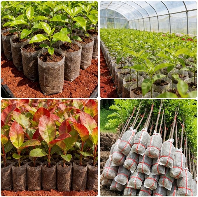 Augshy JULMELON 100 Pcs Nursery Growing Bags, 7.5x11.6 inch Breathable Non-Woven Plants Grow Fabric Plant Grow Bags for Vegetable Seed Starter Home or Outdoor Garden Supply