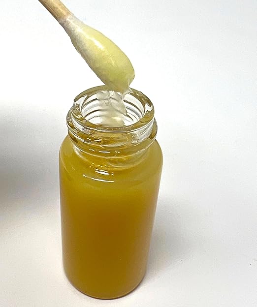 Keiki Cloning Paste - Orchid Growth Hormone for Successful Propagation - Boosts Root Development, Activates Plant nodes - Also Works on Monstera, philodendrons, and Many Species - 0.35oz Gel Formula