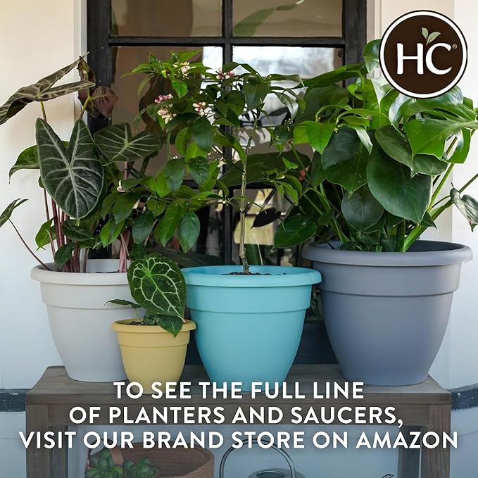 The HC Companies 10 Inch Caribbean Planter Pots with Drainage & Plug, Rolled Rim Plastic Planters for Indoor & Outdoor Plants, 2-Pack Decorative Flower Pots for Garden, Office & Home Decor, Clay