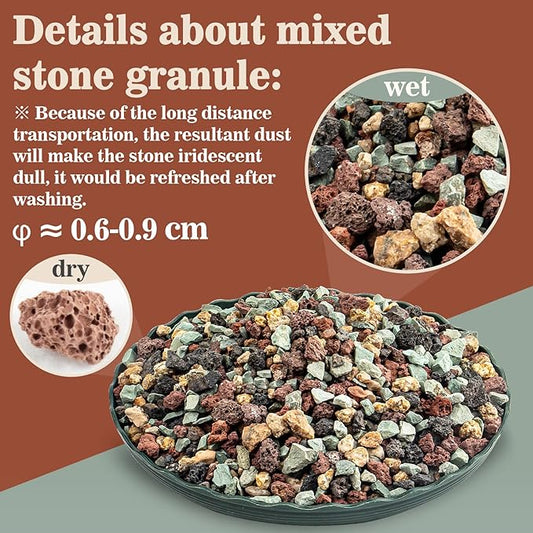 Sukh 1LB Horticultural Succulent Granule Soil - Succulent Rocks Bonsai Mix Lava Rocks Cactus Soil Potting Mix Amendment