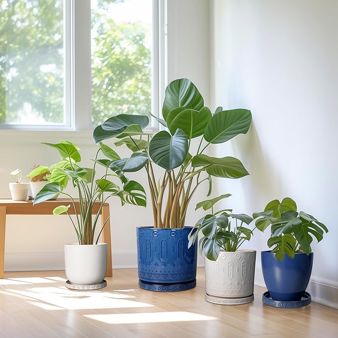 Plant Saucer for Indoors - Ceramic Plant Saucer for Outdoors 11.4 Inch Plant Water Catcher Tray Plant Pot Saucer Plant Drip Tray Drainage Large Plant Plates to Catch Water White