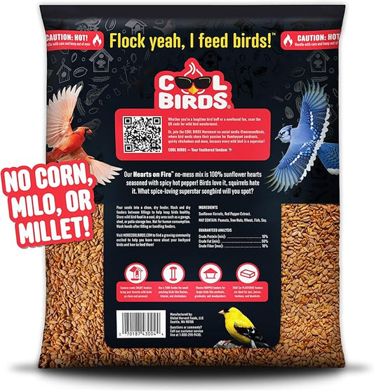 Hearts on Fire Hot Bird Seed – 10 lb. 100% Hulled Sunflower Hearts with Chili Pepper Oil – No Waste Bird Seed for Outside Feeders