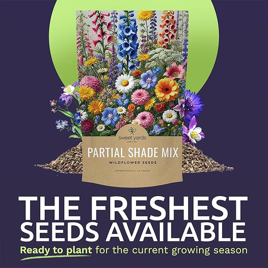 Bulk Wildflower Seeds Partial Shade Mix - 1/4 Pound Bag Over 30,000 Open Pollinated Annual and Perennial Seeds