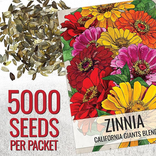 Seed Needs Zinnia Seeds California Giants Variety | 5,000+ Heirloom Seeds Zinnia Elegans Open Pollinated | Prolific Large Multicolor Blooms Makes a Great Cut Flower | Bulk