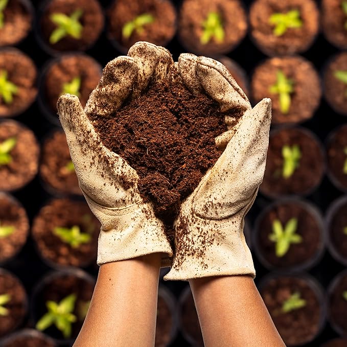 Coco Bliss 650gm Bricks (6-Pack) - Organic Coco Coir for Plants - OMRI-Listed Coco Coir for Garden Soil & Potting Mixes - Coconut Fiber Mixes with Potting Soil for Indoor Plants & Outdoor Plants