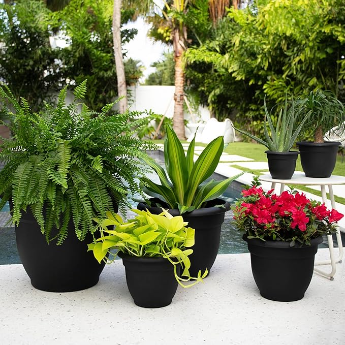 Bloem Ariana 10" Black Round Self-Watering Resin Planter Pot - Rolled Rim Indoor and Outdoor Gardening Planter
