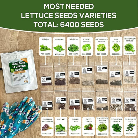 14 Varieties Heirloom Non-GMO Lettuce and Greens Seeds Pack for Outdoor and Indoor Gardening & Hydroponics, 6380 Seeds - Spinach, Bibb, Iceberg, Butter, Oakleaf, Black Seeded Simpson, Romaine & More