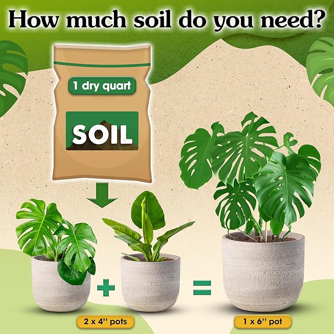 6 in 1 Premium Indoor Plant Potting Soil, Tropical House Plant Potting Mix with Clay Pebbles, Pumice, Coco Fiber, Perlite, Worm Castings, Peat Moss - Ideal for Tropical,Aroid Plants (2 Quarts)