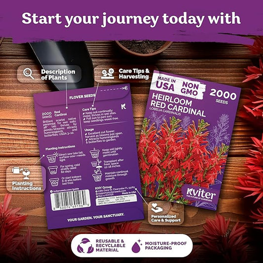 KVITER 2000 Red Cardinal Flower Seeds (Lobelia cardinalis) – Lobelia Garden Seeds for Planting, Cardinal Perennial Flower Seed Packets – Native Wildflower Plant for Outdoor Garden, Containers