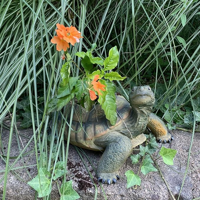 homestyles Call of The Wild 13 in. Realistic Box Turtle Planter Garden Statue Hold a 5" Pot Natural Finish