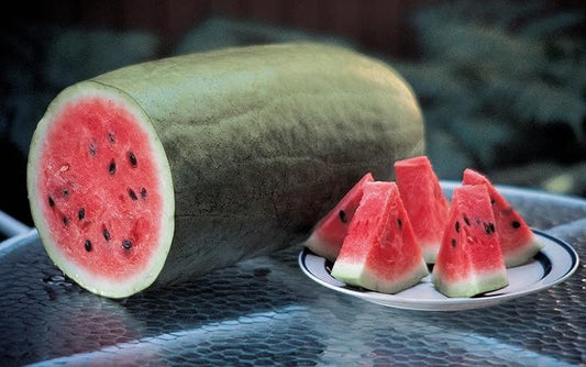 Burpee Charleston Gray (Heirloom) Watermelon Seeds 50 seeds