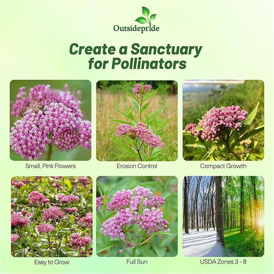 Outsidepride Swamp Milkweed Seeds - 1000 Pcs Perennial, Heat & Humid Tolerant, Pollinator-Friendly Wildflower Seeds, Ideal for Monarch Butterflies, Cut Flowers, Borders, or Meadows