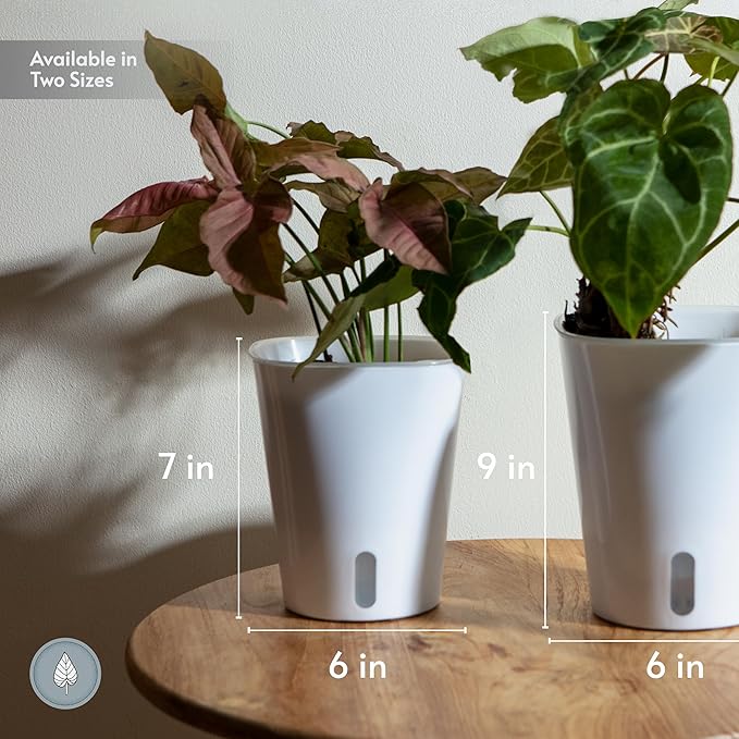 karenplantsplantsTM 6" Tall Diameter Self Watering Decorative Planter with Water Level Indicator for House Plants, Flowr, Herbs (5-Pack)