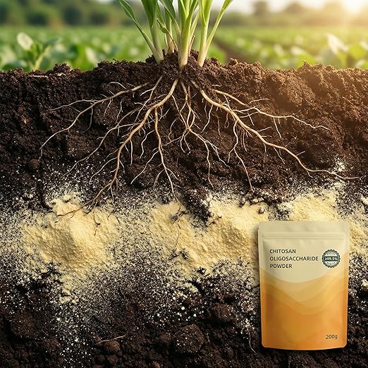 Chitosan Oligosaccharide - Purity >99.5% Soil Activator & Soil Conditioner Water-SolubleFertilizer Powder 200g,for Plants, Garden Fertilizer, Fruits and Vegetables (for Fertilizer Use Only).