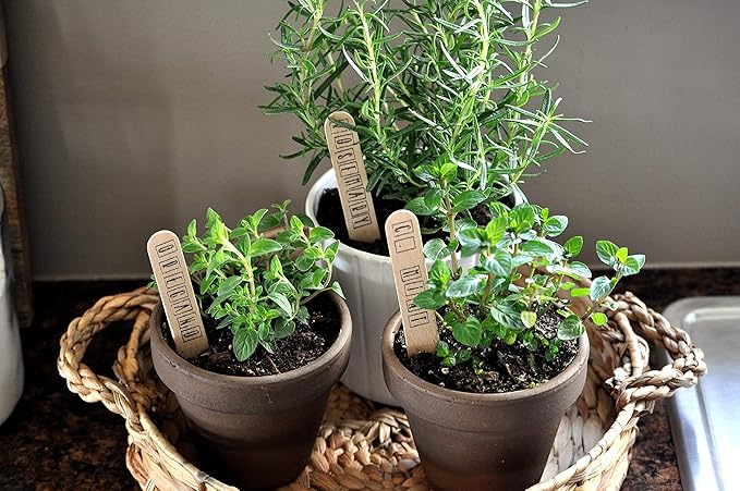 Organic Potting Soil Mix for All Indoor & Outdoor Small Containers Including Herbs, Vegetables, and Flowers 2 qt