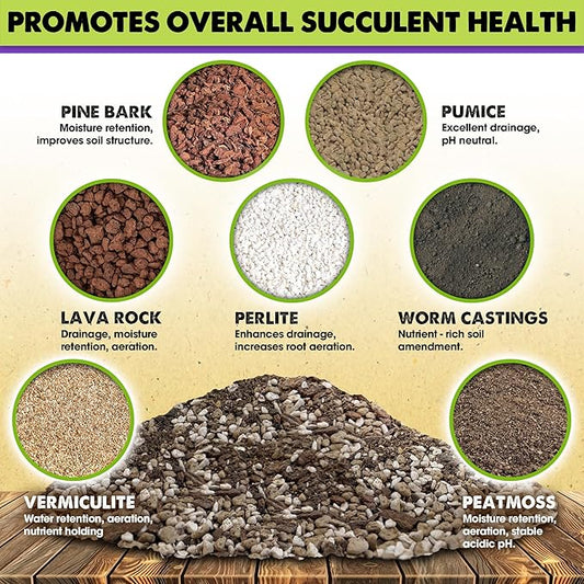 DUSPRO Succulents Soil Potting Mix – 7 in 1 Ingredients Well-Draining, Nutrient-Rich Cactus Potting Soil for Succulents and Cacti, Indoor & Outdoor Use, Ready to Use, Supports Healthy Root Growth, 2QT