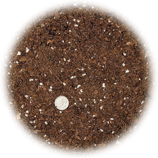 GARDENERA Premium Soil Blend for Money Trees - 2 Quart - Perfect for Growing and Repotting Guiana Chestnut