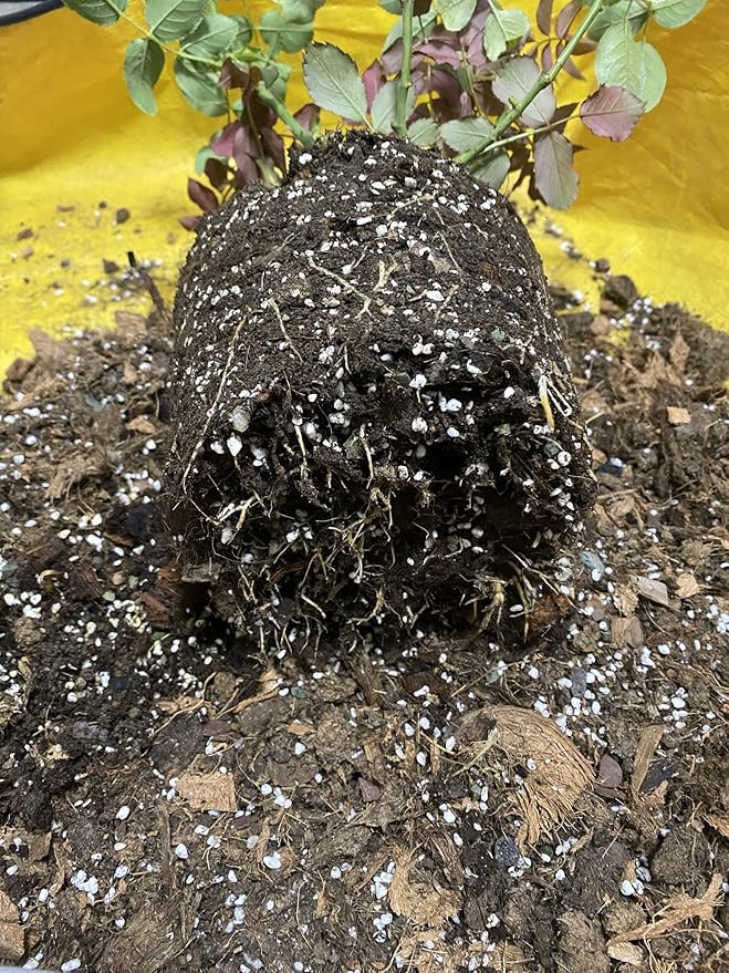 50QT Organic Perlite Horticultural Soil Amendment for Plants and Enhanced Drainage Enhanced