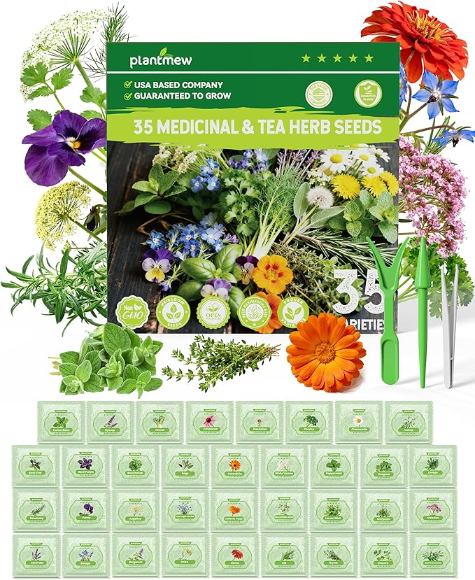 Medicinal & Tea Herb Seeds for Planting - 35 Non-GMO Heirloom Variety Pack for Indoor/Outdoor Garden: Anise, Bergamot, Borage, Fennel, Chamomile, Dandelion, Oregano, Hyssop, Catnip Seeds & More