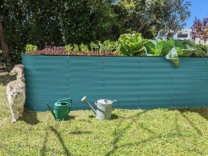 Plant & Plot Galvanized Raised Garden Beds Outdoor // 8×2×2 ft Planter Raised Beds for Gardening, Vegetables, Flowers (Turquoise) // Large Metal Garden Box // Patented Tool-Free Design