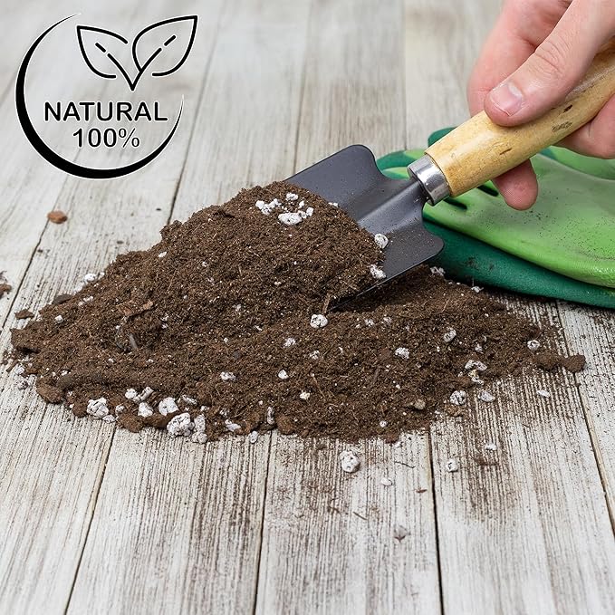 Soil Sunrise Elephant Ear Potting Soil Mix (8 Quarts) Colocasia and Alocasia Potted Plant Blend