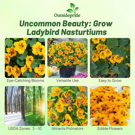 Outsidepride Tom Thumb Ladybird Nasturtium Seeds - 400 Pcs Annual, Easy to Grow & Versatile, Flower Seeds for Planting Vibrant Blooms, Ideal for Gardens, Borders, and Pollinator Gardens