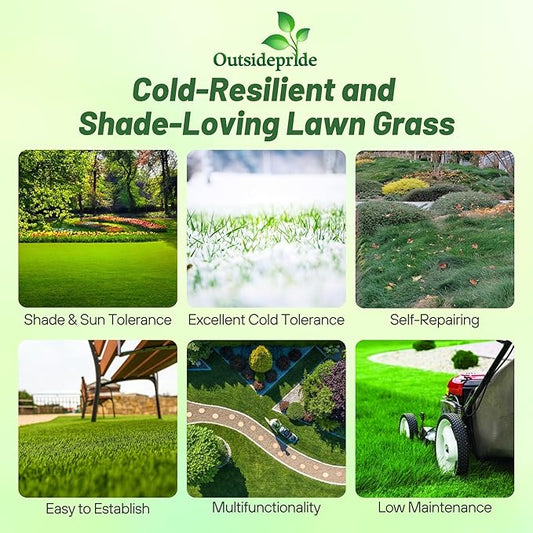 Outsidepride Creeping Red Fescue Grass Seed - 10 Lbs. Cool Season, Soft Textured, Self-Repairing Fine Fescue Grass Seeds for Lawn w/OptiGrowth Coating, Ideal for Dryland Cover Crop & Landscaping