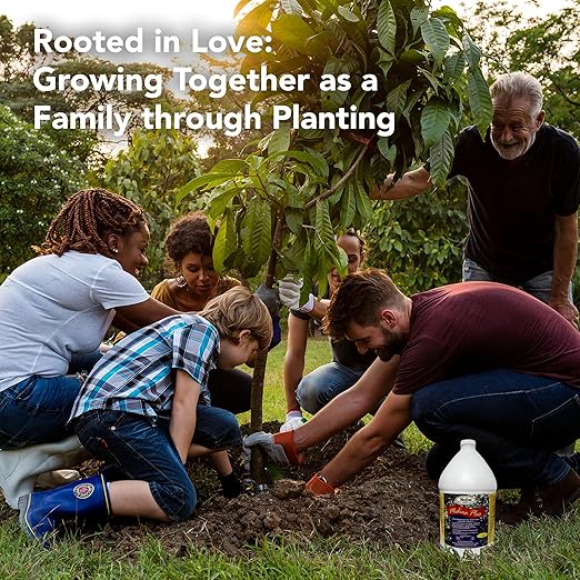 Medina Plus Soil Activator - Liquid Soil Loosener for Lawns & Gardens - Micronutrient-Rich Soil Conditioner & Softener - Used with House Plant Fertilizer, Liquid Plant Food for Houseplants - 1 Gal