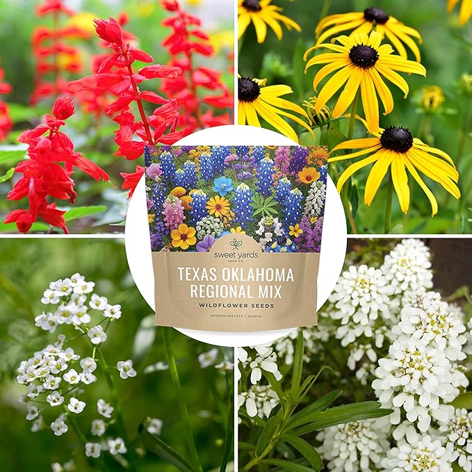 Texas Oklahoma Wildflower Seeds Mixture - Bulk 1 Ounce Packet - Over 15,000 Native Seeds - Open Pollinated and Non GMO