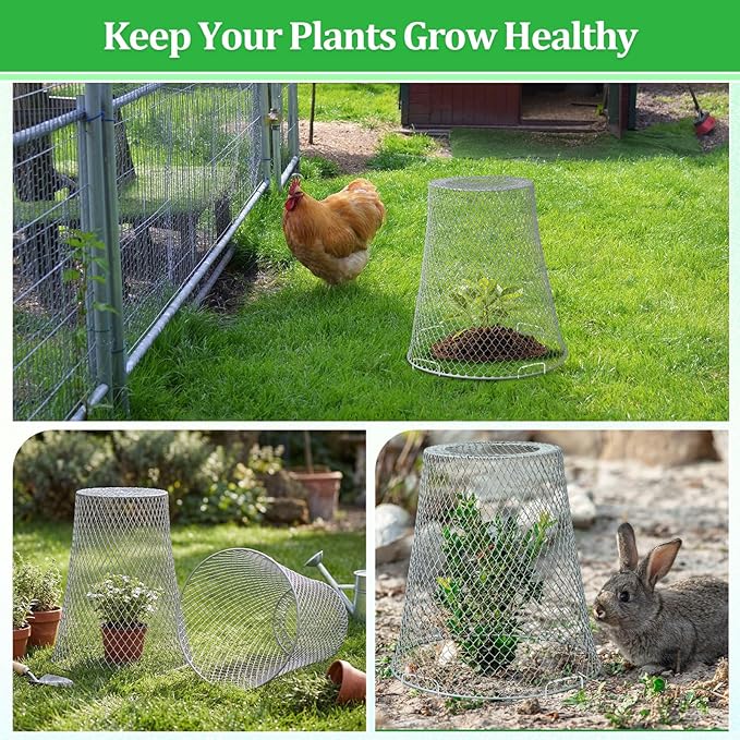 Therwen 6 Pcs Large Chicken Wire Cloche Plant Protector Cover 11x12 Inch Metal Garden Cloche Dome for Plants Wire Protection Basket with Garden Stakes Plant Cages from Animals (Silver)