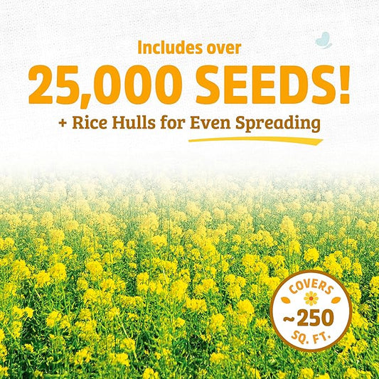 Back to The Roots 100% Organic Yelow Mustard Cover Crop Seeds, Covers ~1000 sq. ft.