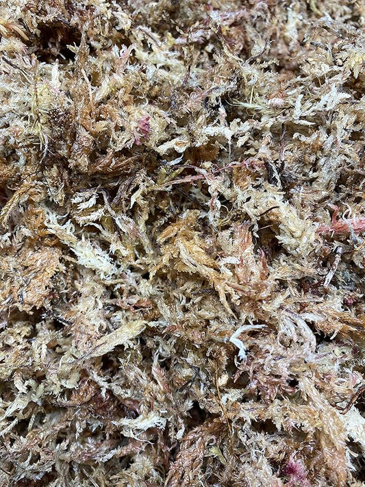 Peruvian Sphagnum Moss by Orchid Nerd ™ (Peruvian Sphagnum Moss, 500 Grams)