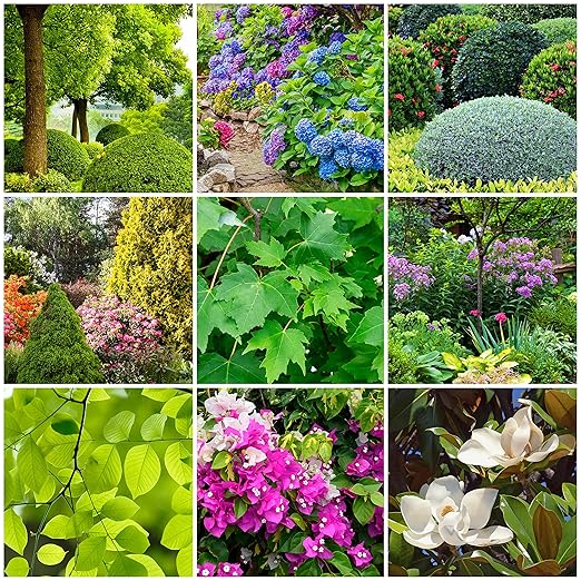 The Old Farmer's Almanac Tree & Shrub Fertilizer Spikes (Case of 72 Spikes)