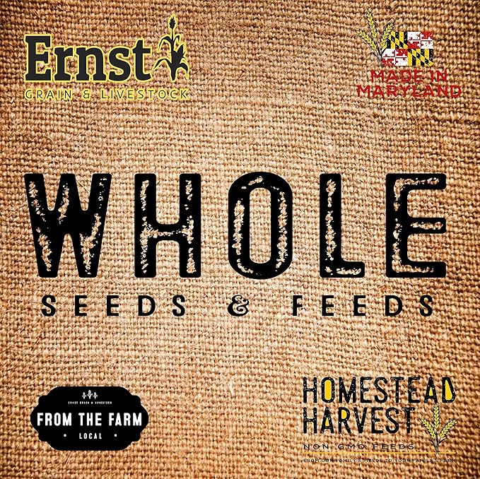 Ernst Grain & Livestock Black Oil Sunflower Seeds - Birdseed for Outside Feeders Wild Bird Food - Ideal Bird Seed for Cardinals, Woodpeckers and More - Non-GMO, 40lb