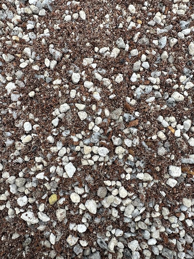 Lithops Soil Mix Perfect Potting Medium Proper Drainage Promotes Healthy Rooting Designed Specifically for Lithops (Seeding Mix 2 Quarts)