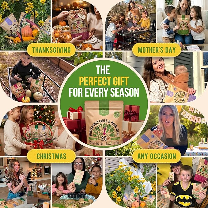 Organo Republic 25 Winter Vegetable & Herb Garden Seeds Variety Pack for Outdoors & Indoor Home Gardening 22,840+ Non-GMO Heirloom Seeds Broccoli Beet Carrot Cabbage Radish Pea Mint Thyme Parsley