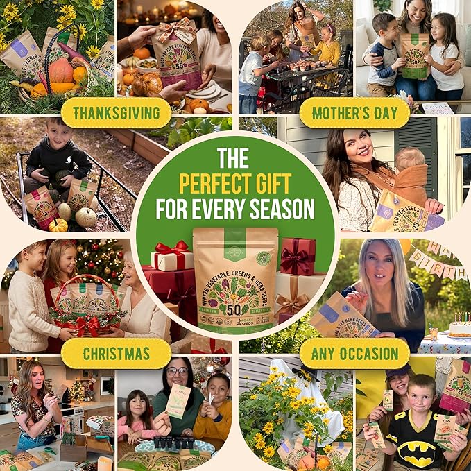 50 Winter Vegetable Garden Seeds Variety Pack - 43,450+ Non-GMO Heirloom Seeds for Outdoors & Indoor Home Gardening, Including Kohlrabi, Lettuce, Radish, Onion, Choy, Spinach, Cauliflower, Collards