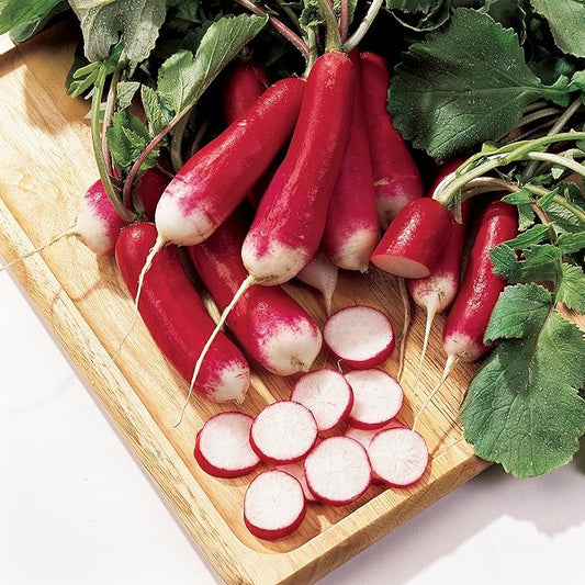 Burpee French Dressing Radish Seeds 600 seeds