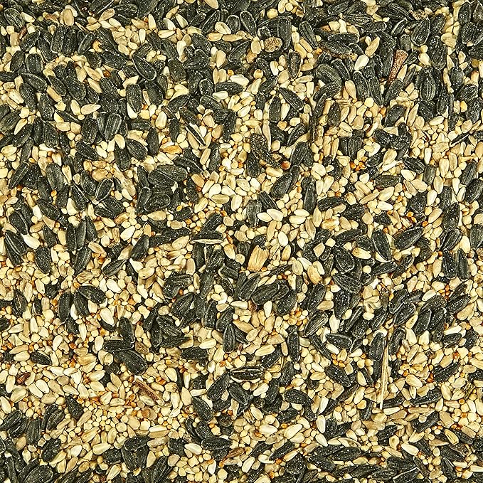 Kaytee Southern Regional Wild Bird Blend, 7-Pound Bag (Pack of 2)