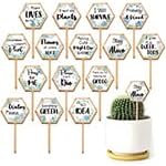 15 Pcs Hexagonal Funny Plant Markers, Water Please Pray for Me Plant Labels Wood Greenery Garden Tags for Vegetable Flower Herb Succulent Seedling Potted, 2.5x4.7 Inch