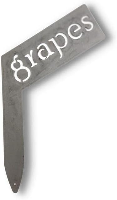 Planter Size Small Metal Garden Plant Vegetable Flower or Herb Markers 13.5 Inches Tall (grapes, Raw, Unfinished Steel)